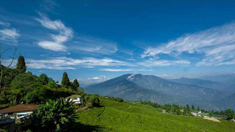 A panoramic view of the rolling green tea gardens in Pelling, West Sikkim, showcasing a scenic valley with Mount Kanchenjunga hidden in the distant mist under a clear blue sky during the best time to visit Sikkim in spring