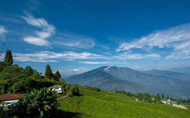 A panoramic view of the rolling green tea gardens in Pelling, West Sikkim, showcasing a scenic valley with Mount Kanchenjunga hidden in the distant mist under a clear blue sky during the best time to visit Sikkim in spring