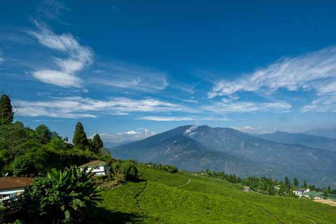 A panoramic view of the rolling green tea gardens in Pelling, West Sikkim, showcasing a scenic valley with Mount Kanchenjunga hidden in the distant mist under a clear blue sky during the best time to visit Sikkim in spring