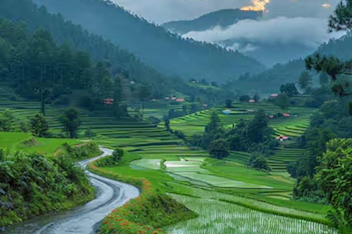 Travelers driving toward Ziro Valley for the 2026 music festival in a 4x4 SUV.]