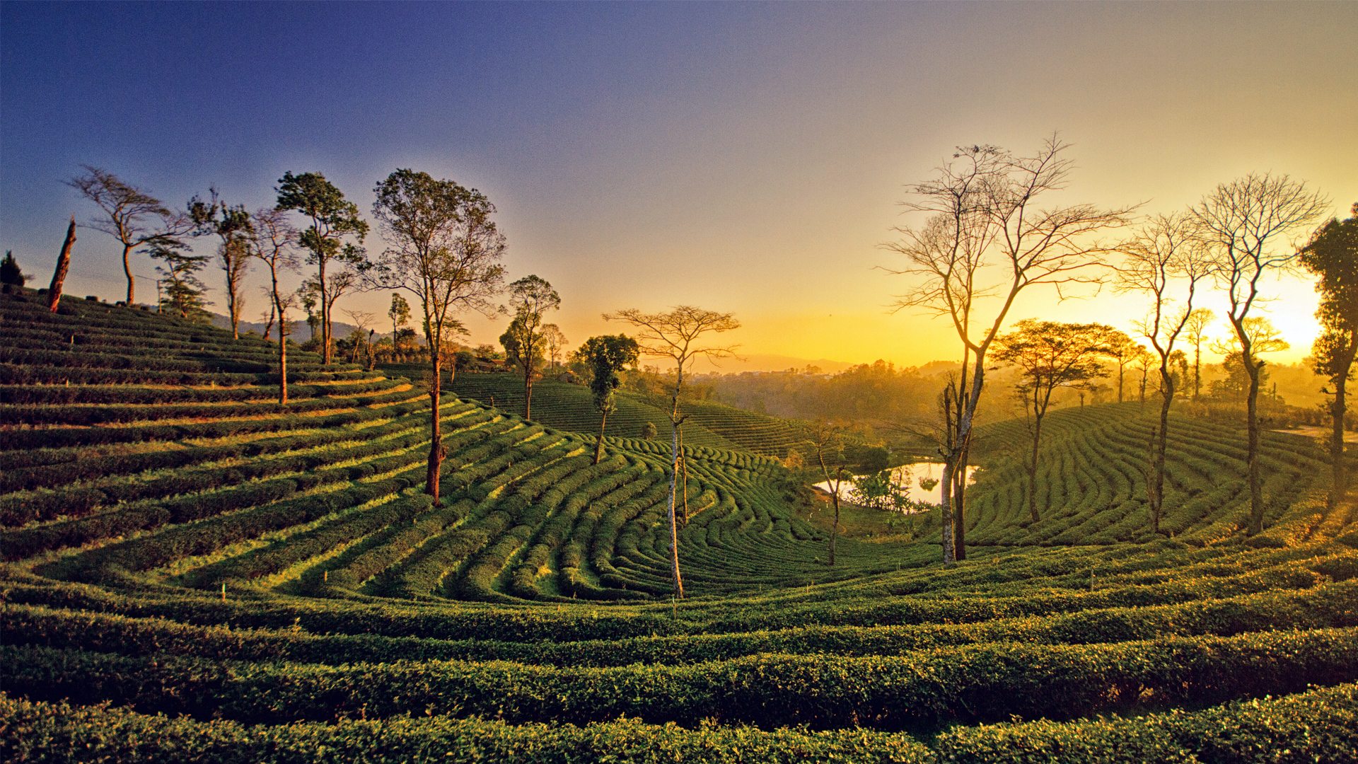 Assam and its places