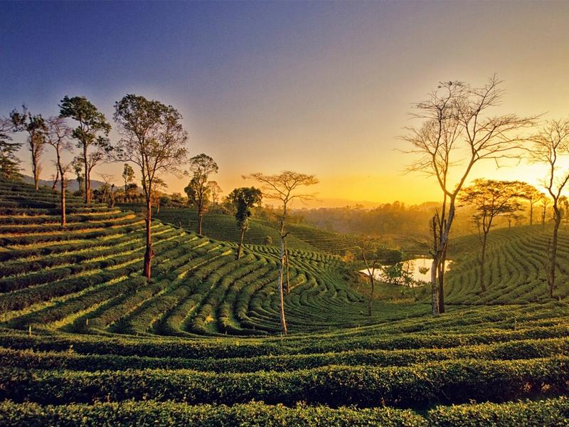 Assam and its places