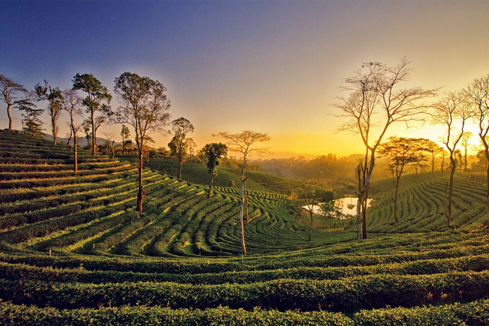 Assam