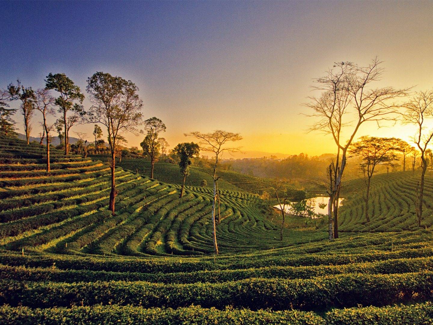 Assam and its places