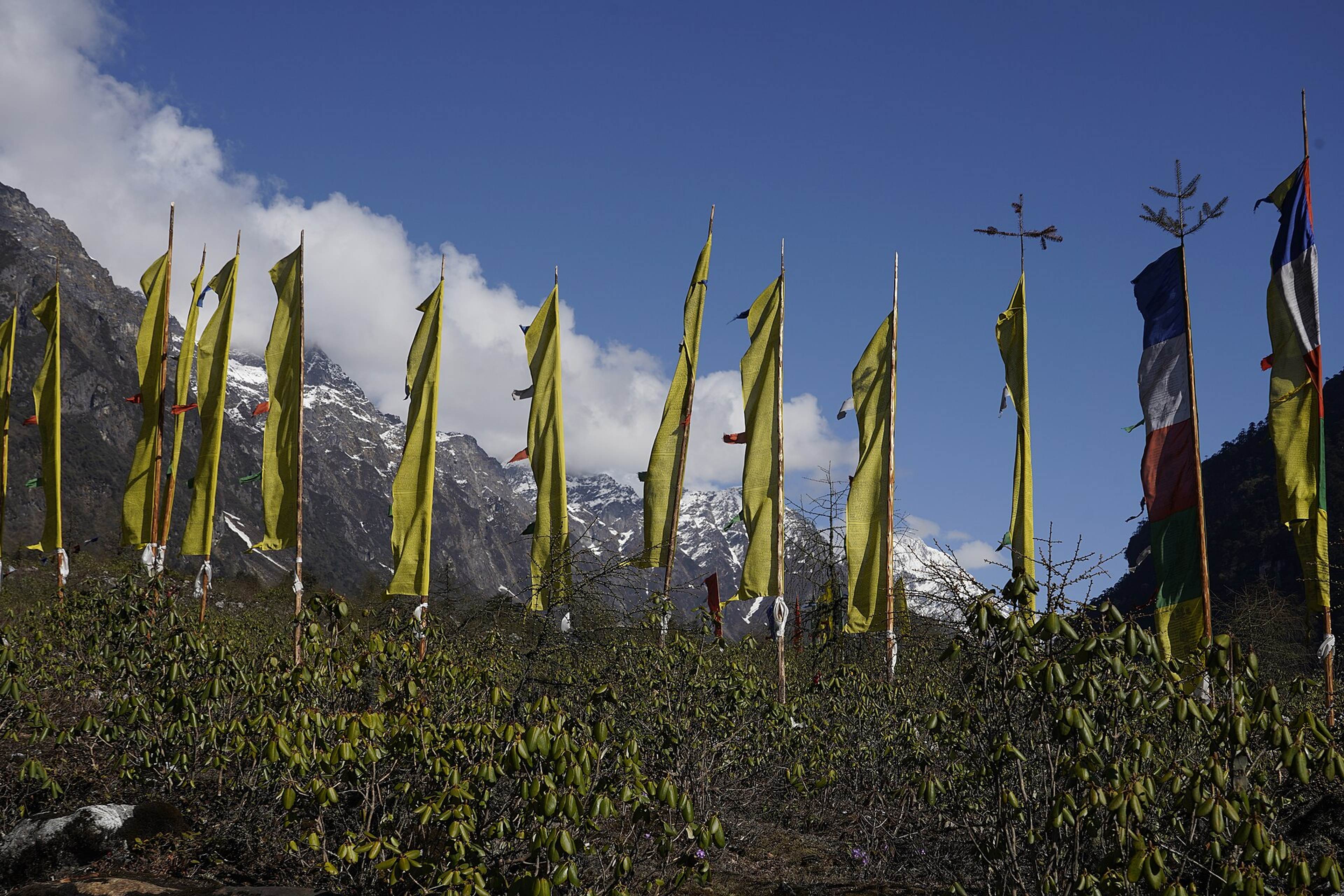 Prayer flags on the road from Lachung to Yumthang