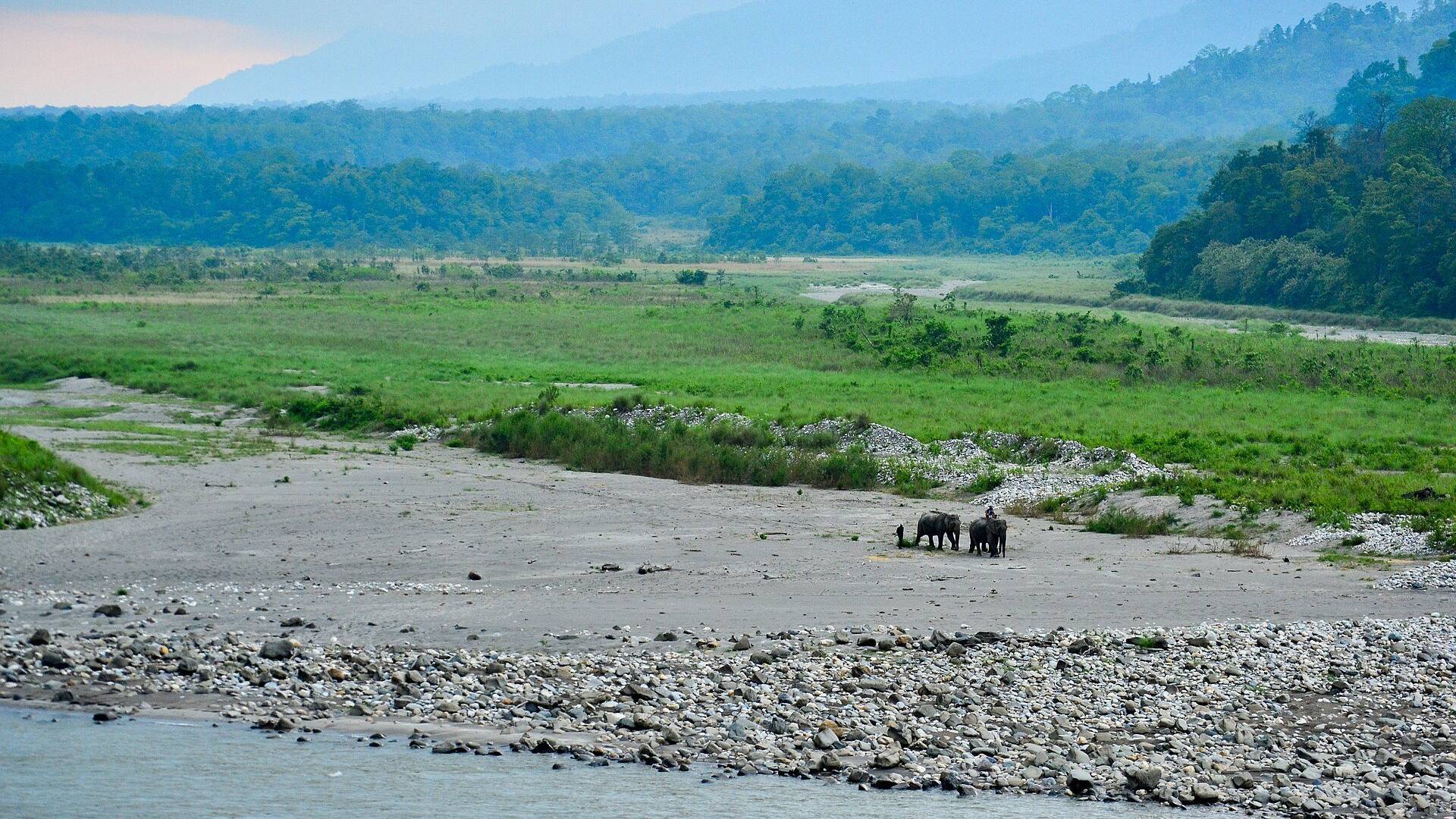 The Manas river flowing past grassland and forest with the Bhutan hills behind