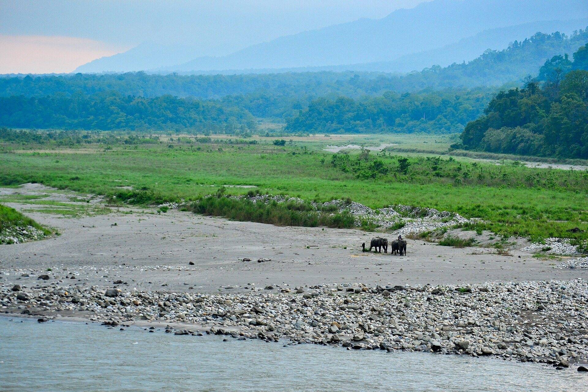 The Manas river flowing past grassland and forest with the Bhutan hills behind