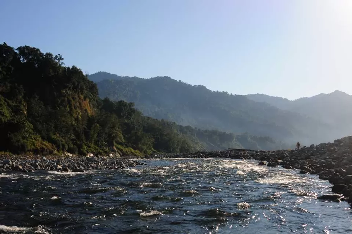 The dense, ancient rainforest canopy of Namdapha National Park, Arunachal Pradesh, showcasing its biodiverse wilderness.