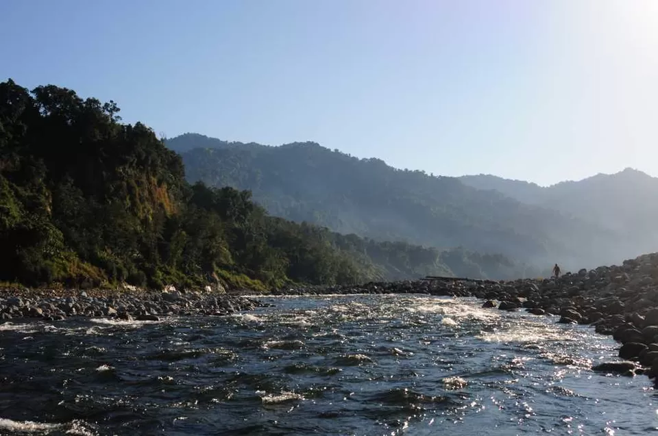 The dense, ancient rainforest canopy of Namdapha National Park, Arunachal Pradesh, showcasing its biodiverse wilderness.