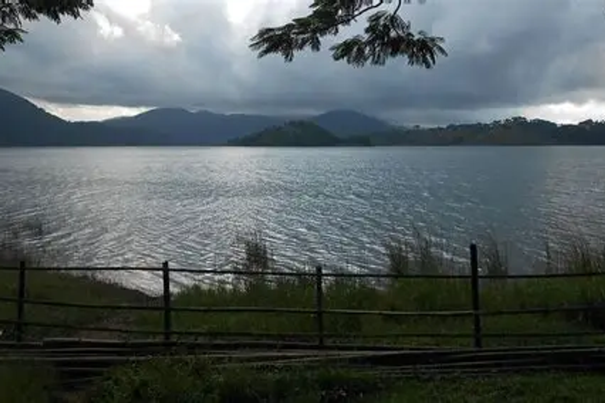 A wide shot of the blue waters of Umiam Lake with pine trees.