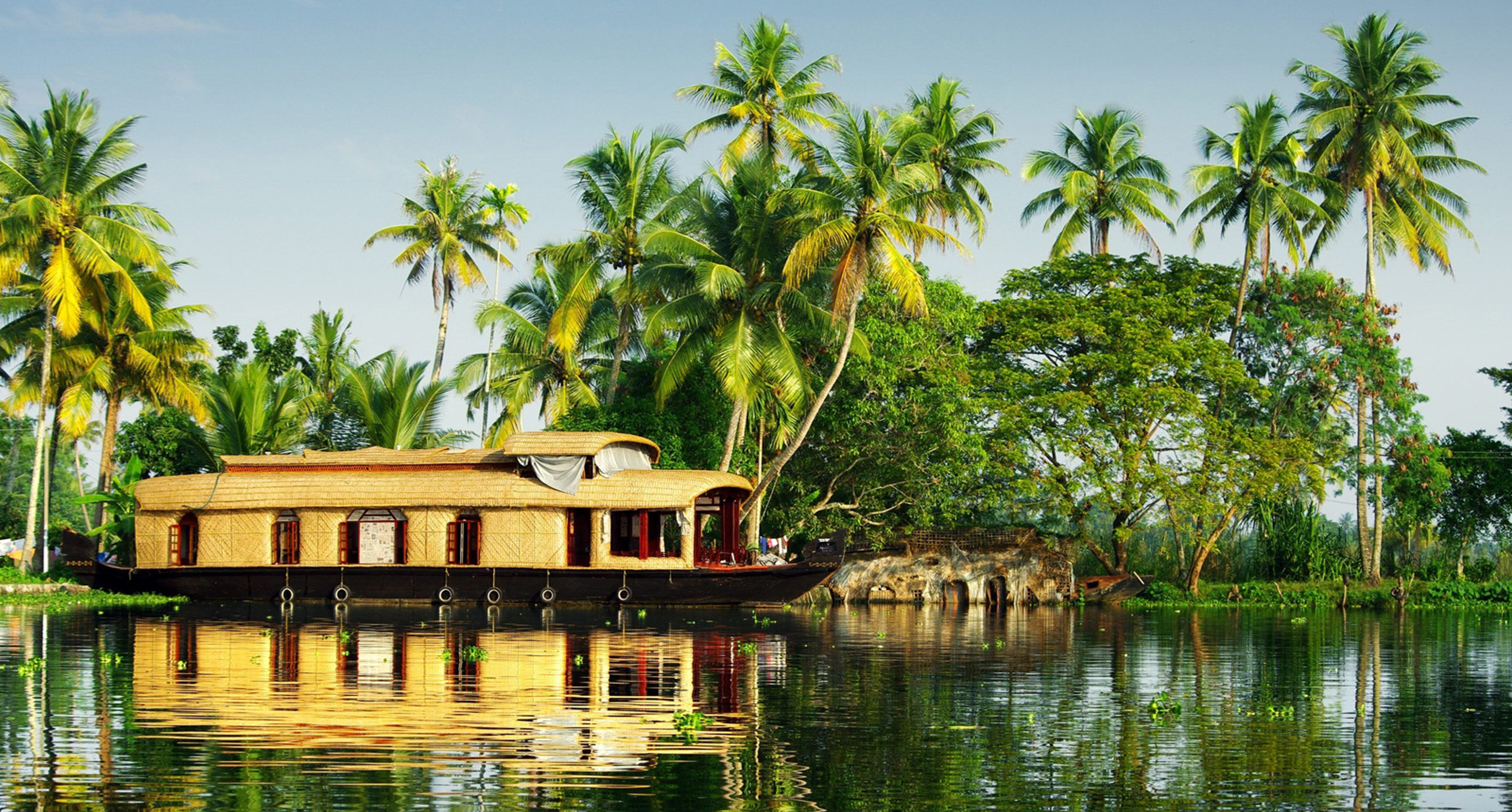 Ultimate 6-Day Kerala Itinerary: Munnar Tea Gardens, Thekkady Wildlife & Alleppey Houseboat Experience