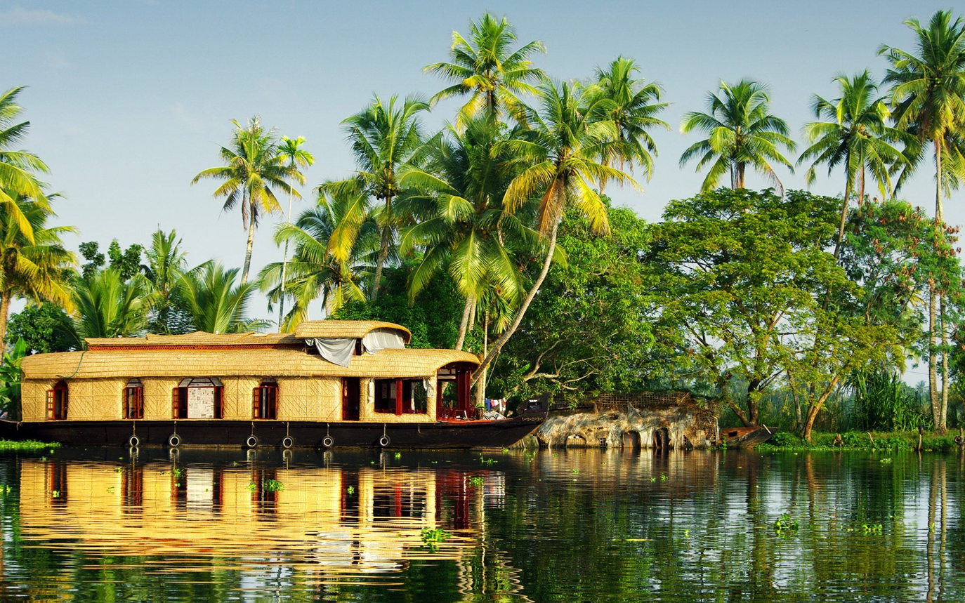 Ultimate 6-Day Kerala Itinerary: Munnar Tea Gardens, Thekkady Wildlife & Alleppey Houseboat Experience