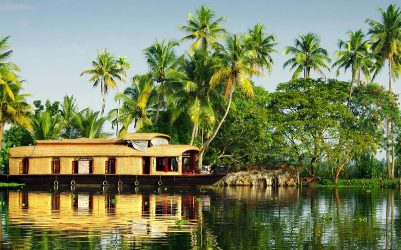 Ultimate 6-Day Kerala Itinerary: Munnar Tea Gardens, Thekkady Wildlife & Alleppey Houseboat Experience