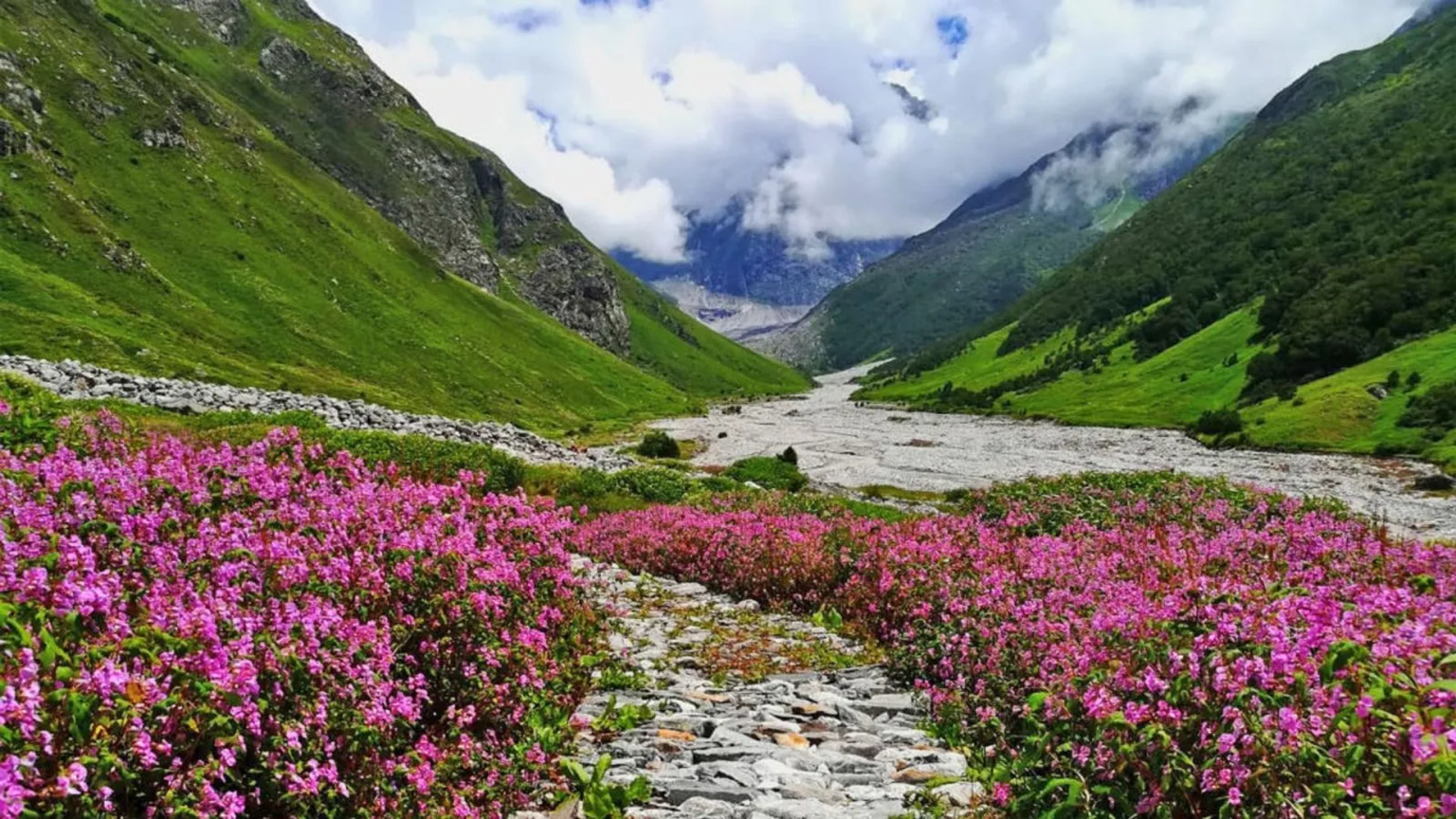 Panoramic view of Yumthang Valley of Flowers in North Sikkim with snow-capped mountain peaks.