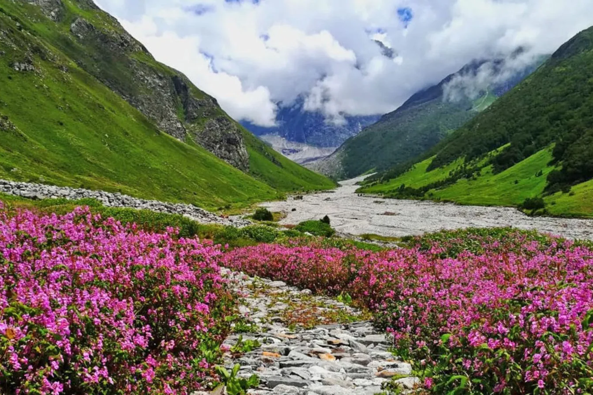 Panoramic view of Yumthang Valley of Flowers in North Sikkim with snow-capped mountain peaks.
