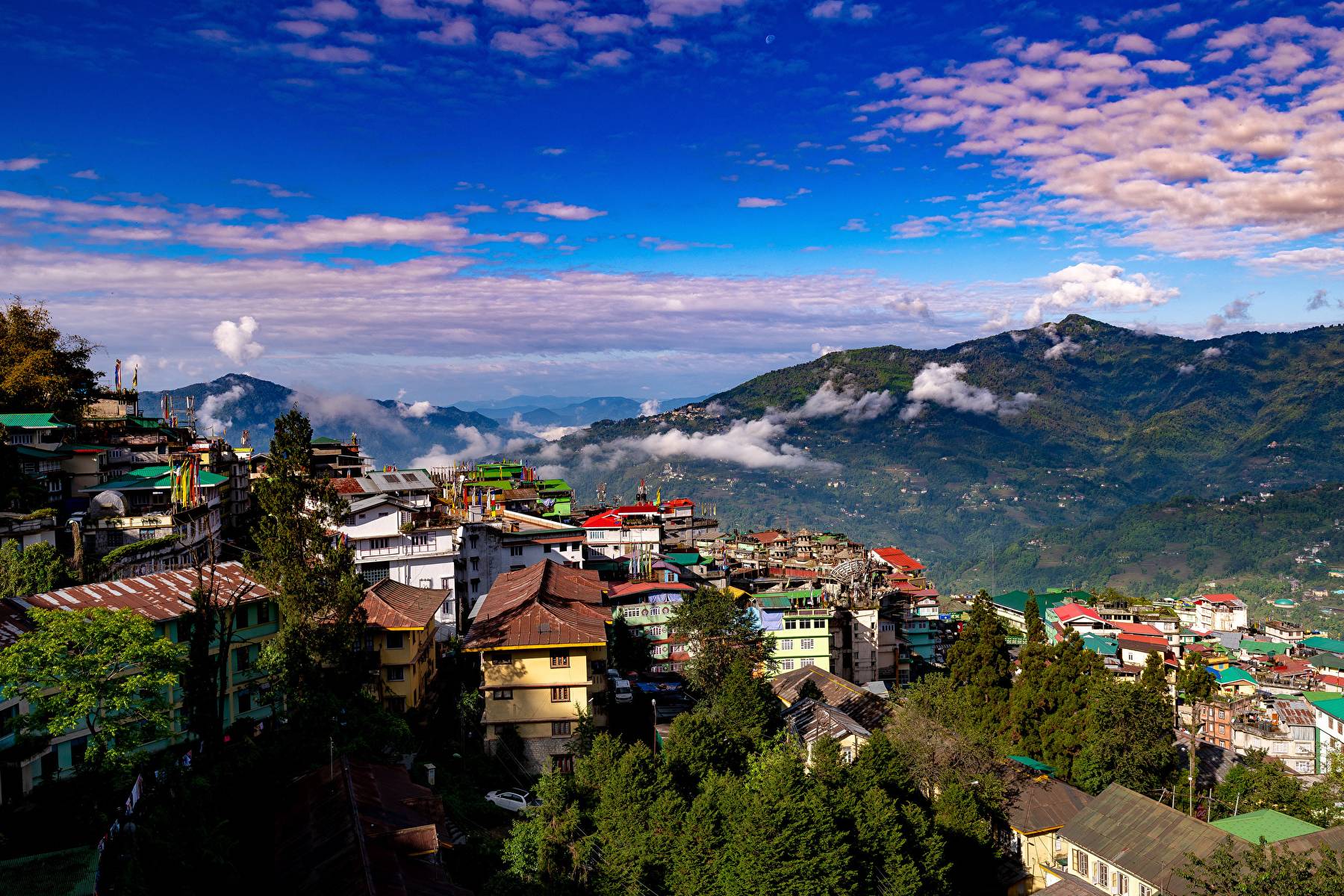 View all