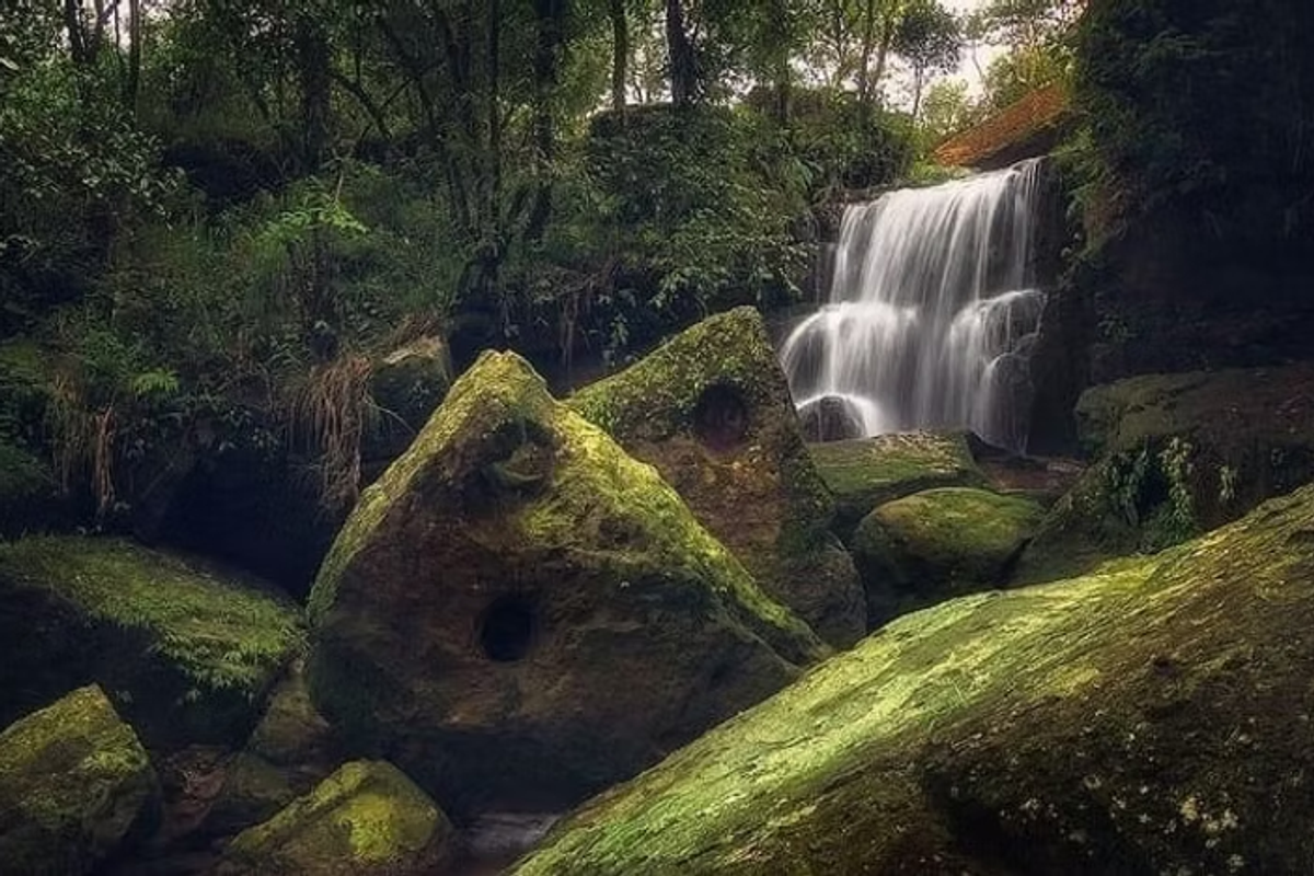 Natural vertical sandstone pillars known as Ki Stieh Maw at Garden of Caves Meghalaya, resembling traditional Khasi warrior shields.