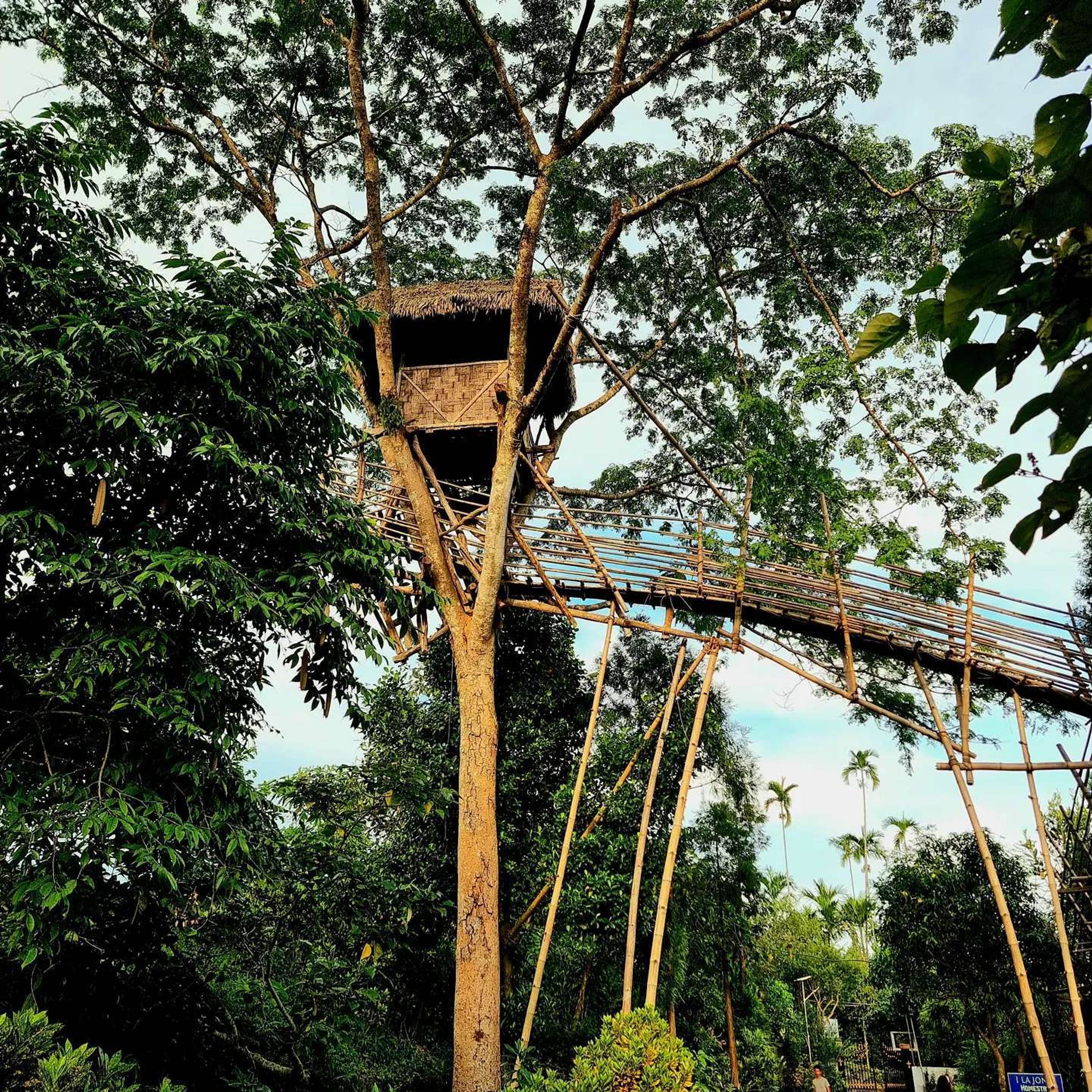 The bamboo sky-view tower at Mawlynnong