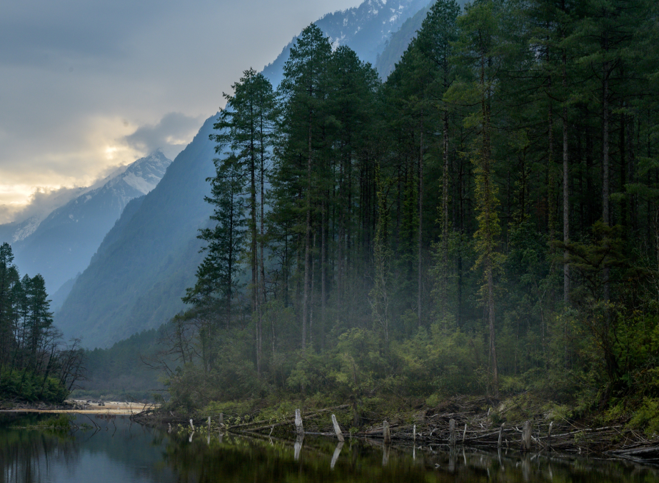 Misty mountains and evergreen forest reflecting  in a river.