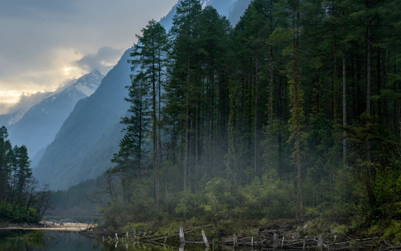 Misty mountains and evergreen forest reflecting  in a river.