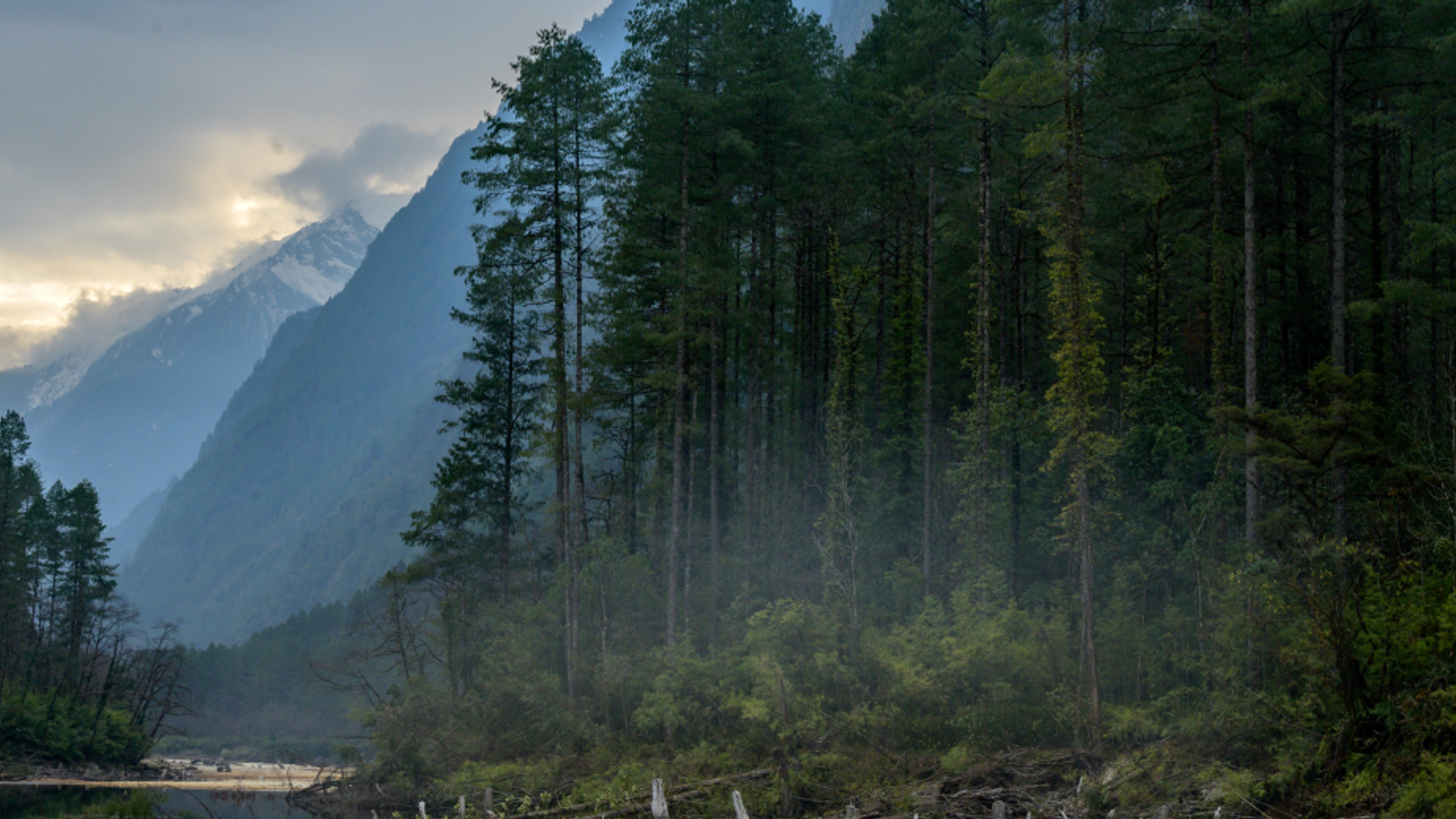 Misty mountains and evergreen forest reflecting  in a river.