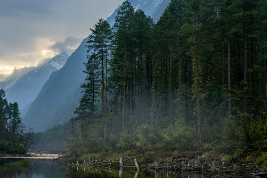 Misty mountains and evergreen forest reflecting in a river.