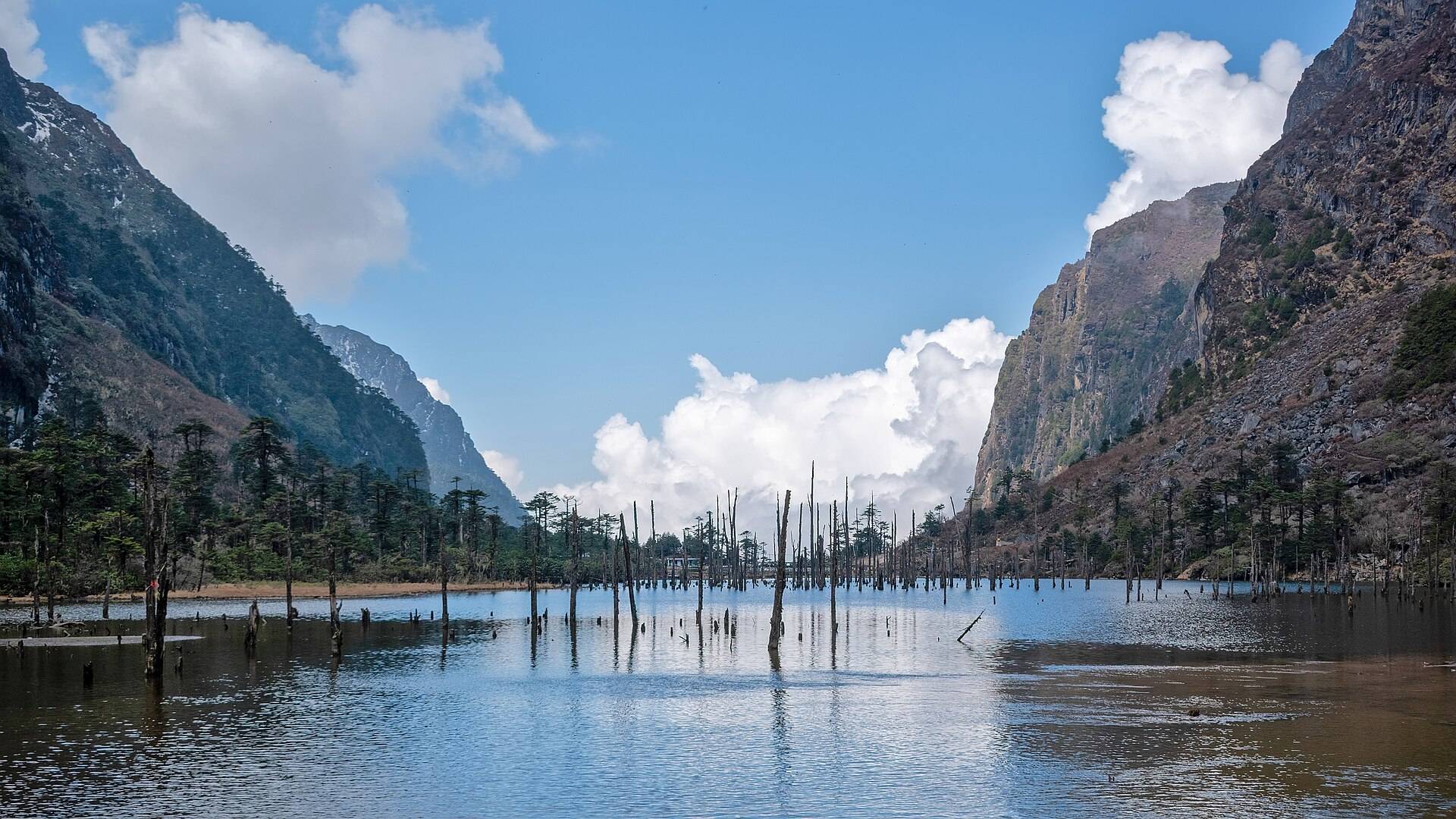 The still waters of Sangetsar Lake with dead tree trunks standing in it and steep cliffs behind