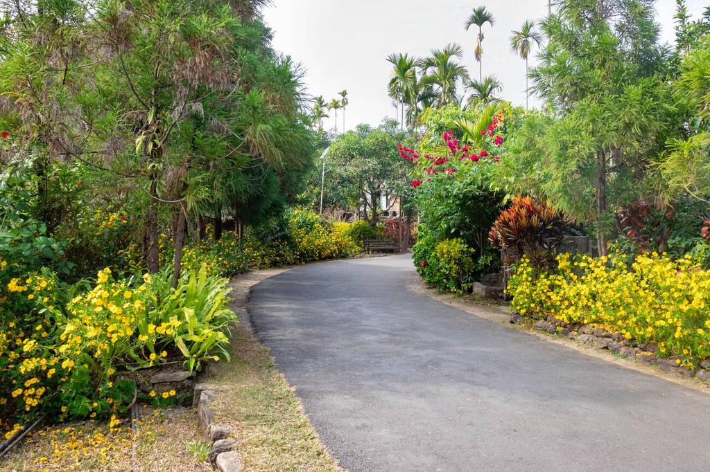 Mawlynnong Village Travel Guide for First-Time Visitors in asia's cleanest village.