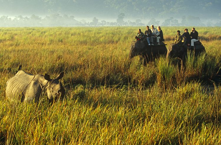 Meghalaya with Kaziranga Wildlife Tour