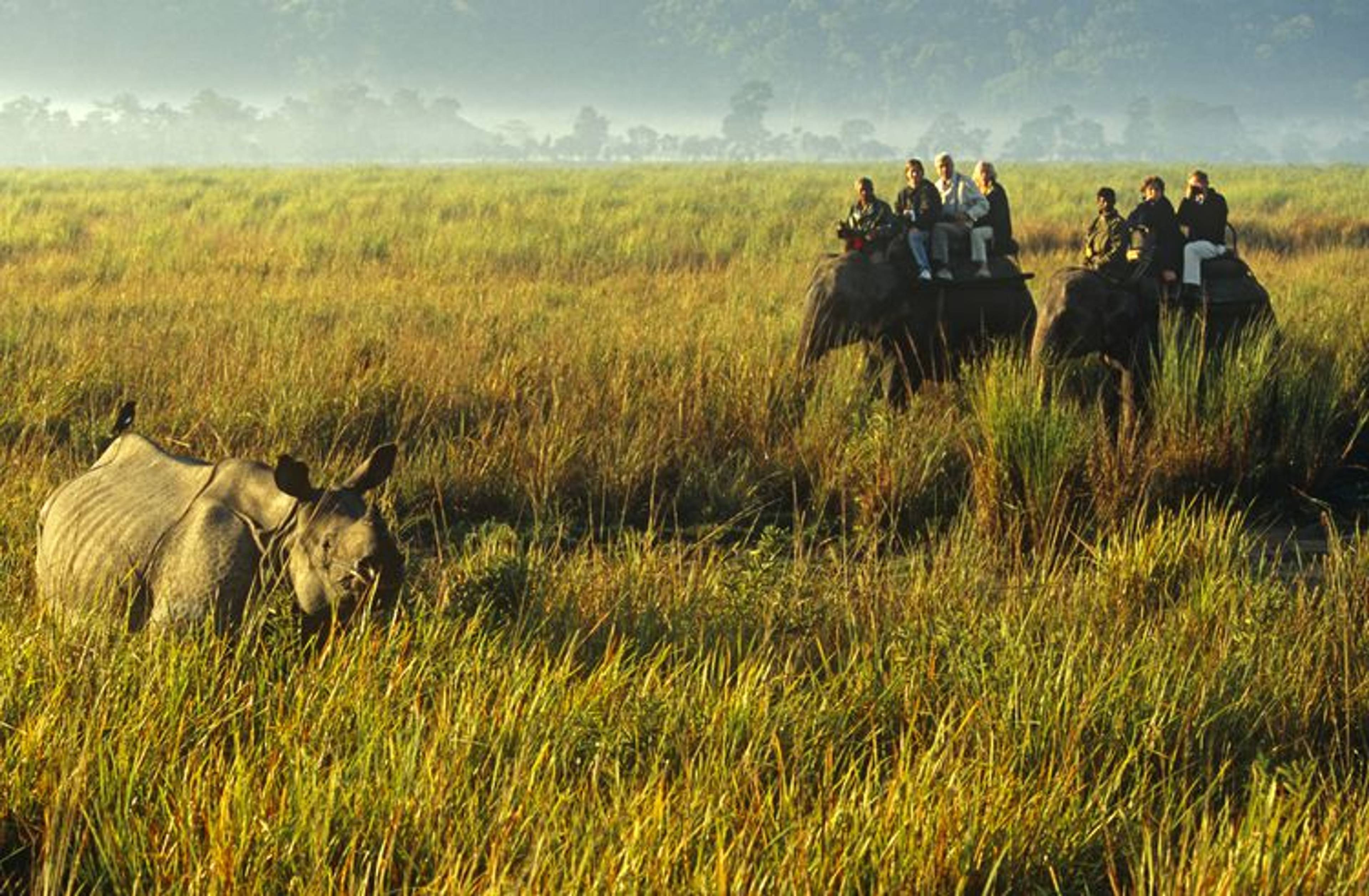 Meghalaya with Kaziranga Wildlife Tour