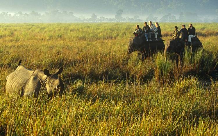 Meghalaya with Kaziranga Wildlife Tour