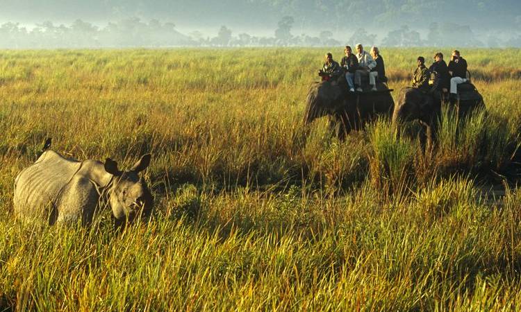 Meghalaya with Kaziranga Wildlife Tour