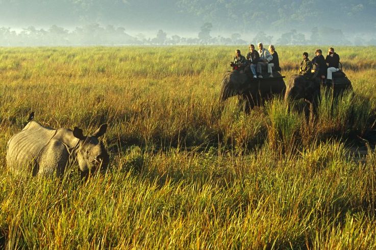 Meghalaya with Kaziranga Wildlife Tour