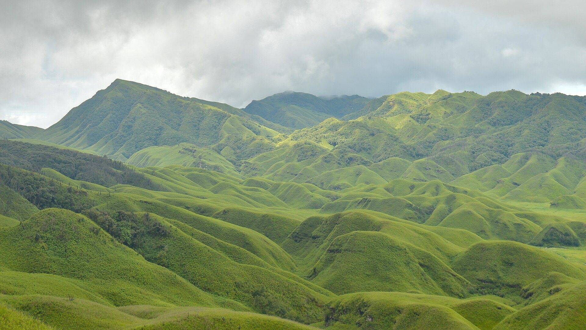 Rolling green hills of Dzukou Valley on the Nagaland-Manipur border under a cloudy sky