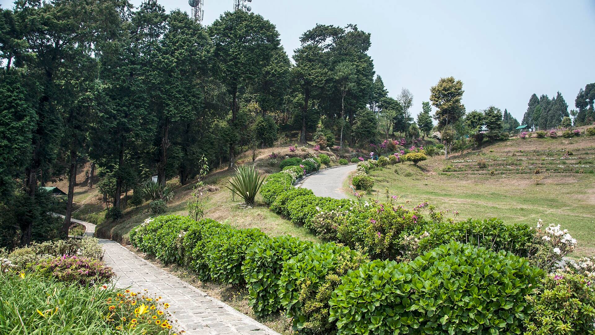 View from Deolo Hill above Kalimpong