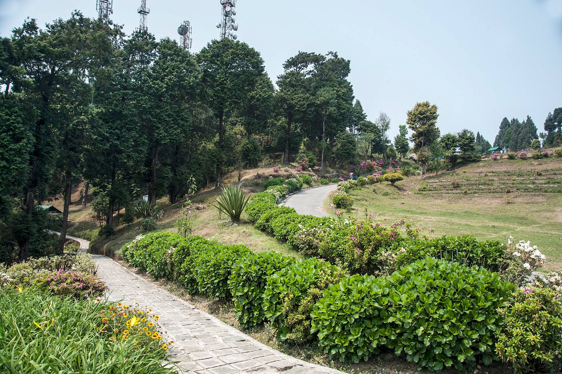View from Deolo Hill above Kalimpong