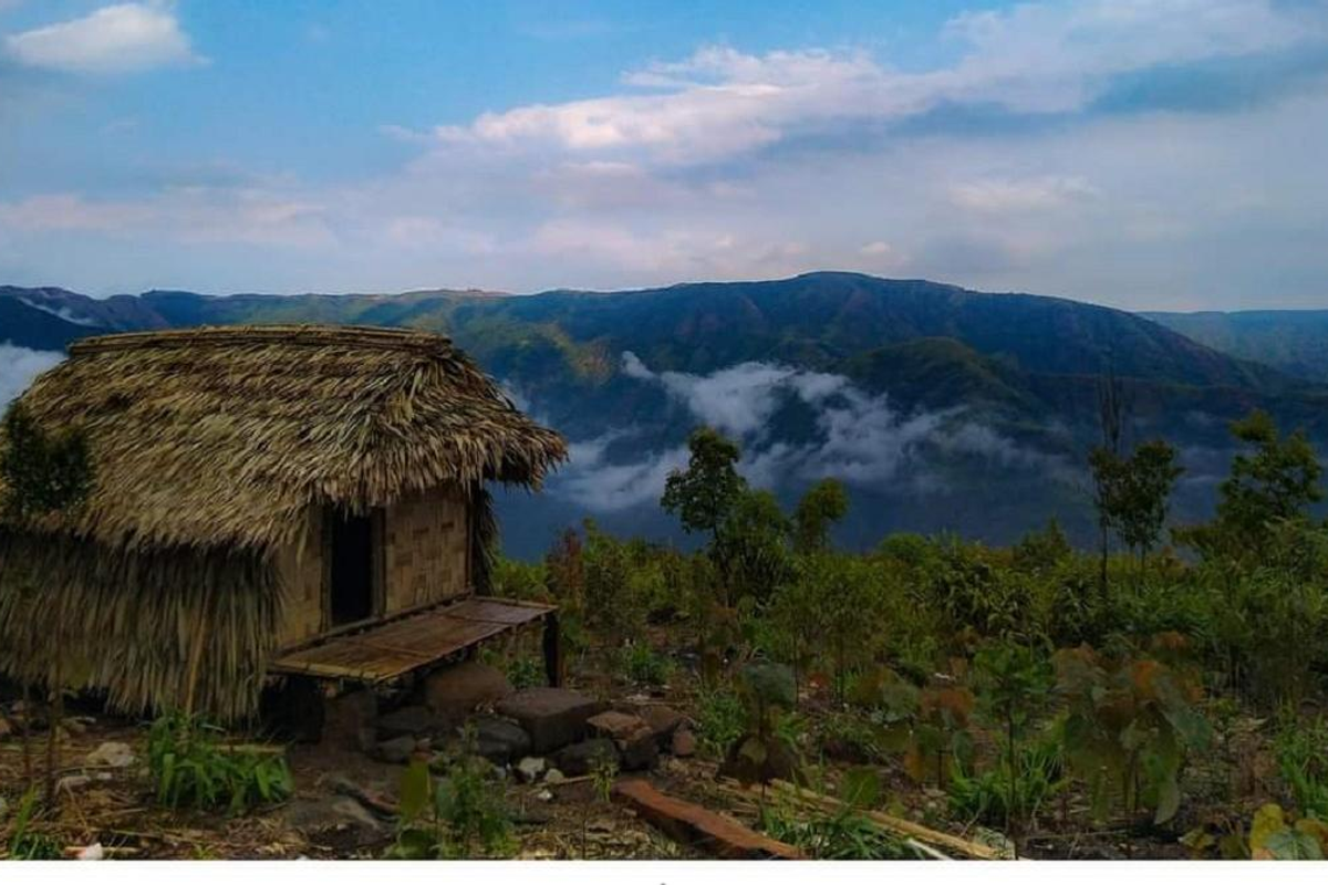 Authentic village landscape in Meghalaya featuring traditional rural homestays.]