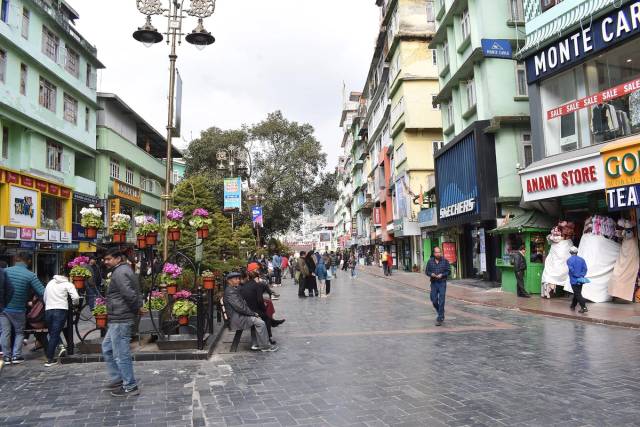 All Images