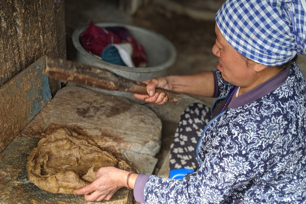 The traditional process of making Monpa handmade paper (Mon Shugu) in Tawang, Arunachal Pradesh.