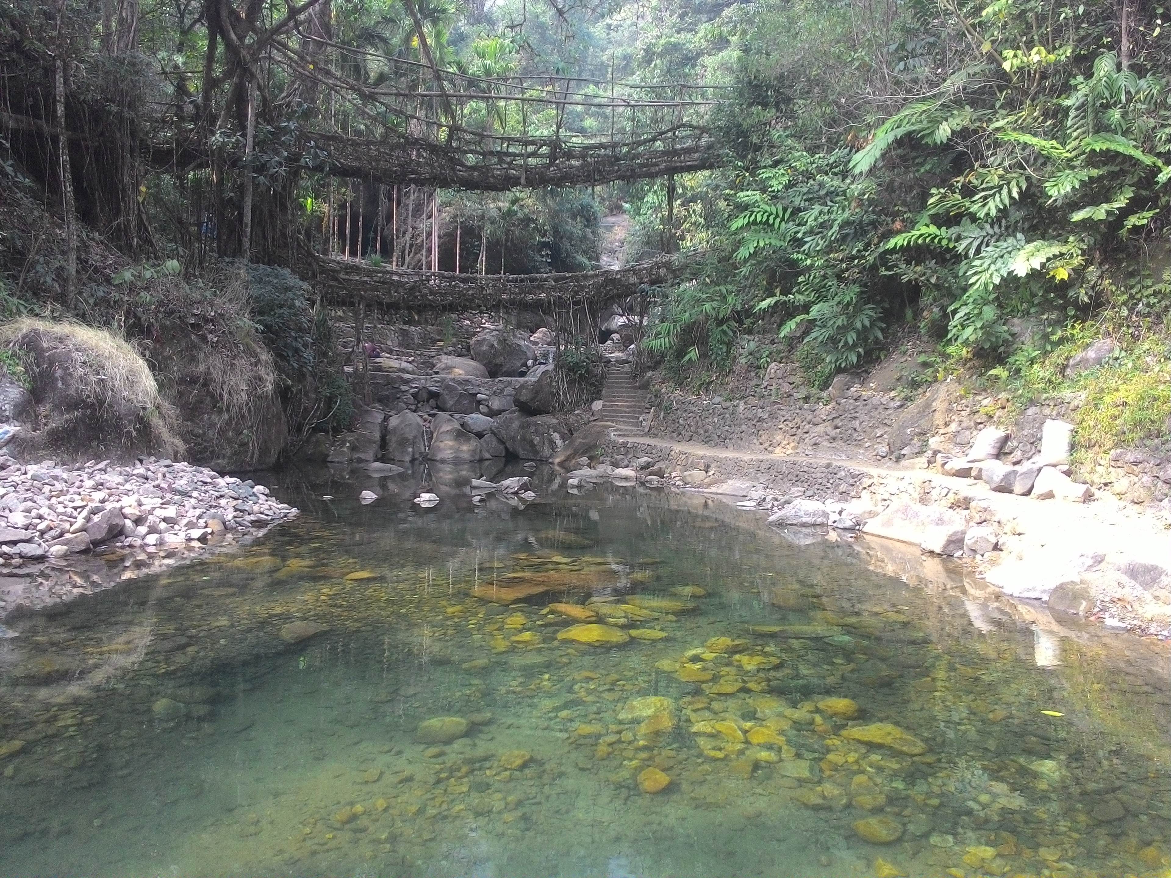The double-decker root bridge at Nongriat seen from behind, over a clear pool
