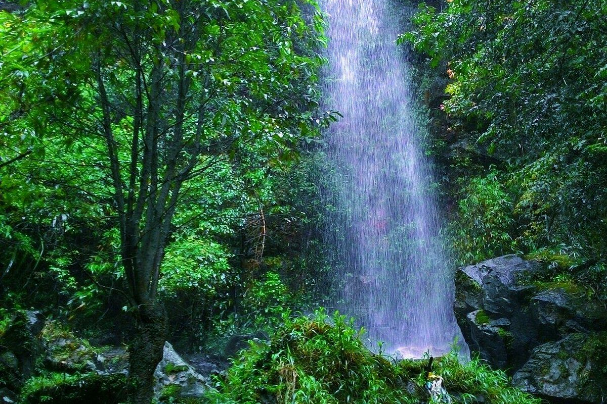 Mawlynnong Waterfall cascading through lush green forest in Meghalaya, India, surrounded by mossy rocks and tropical vegetation, serene natural travel destination.