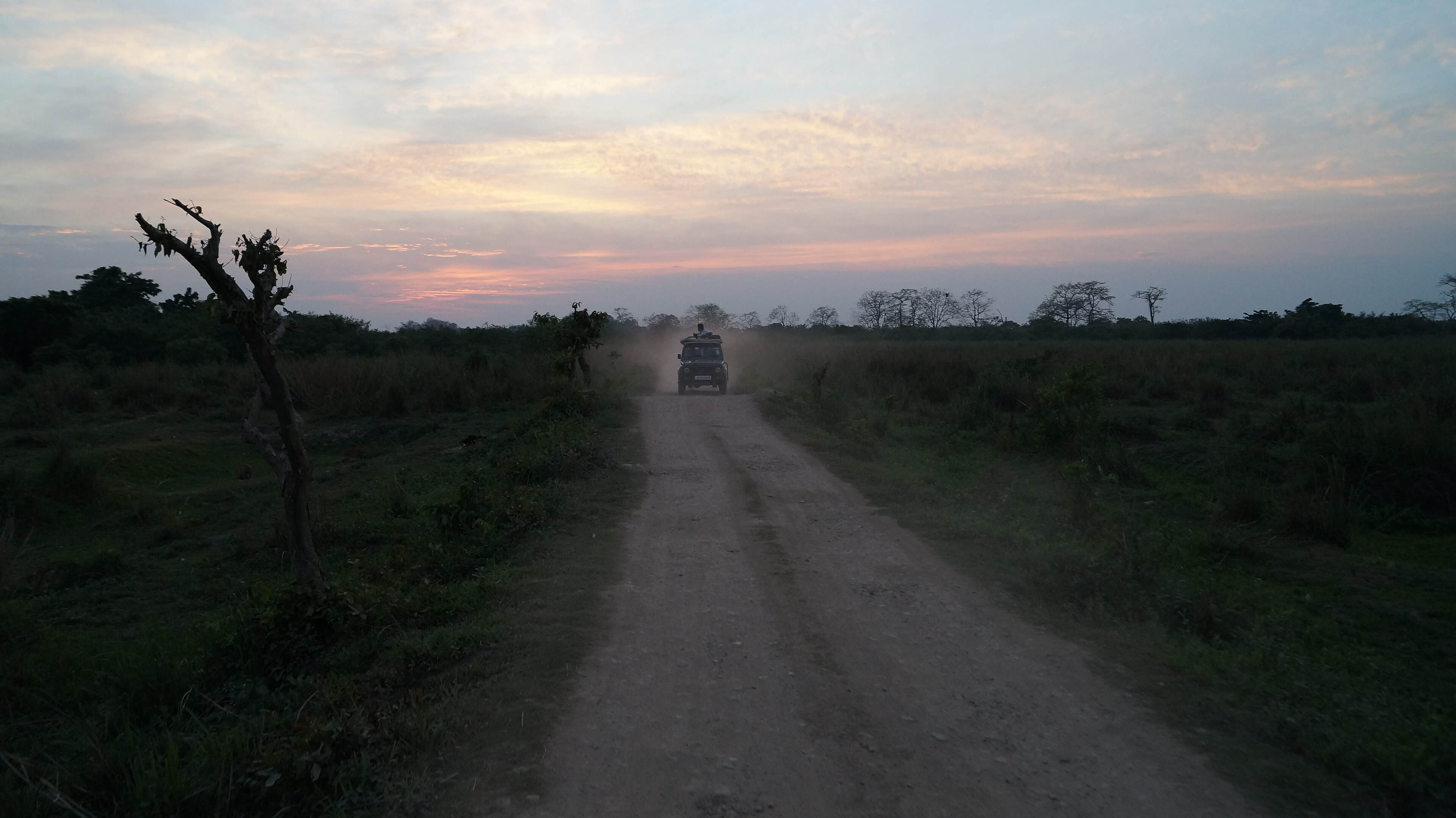 A safari jeep on a dusty track through Kaziranga grassland at dusk