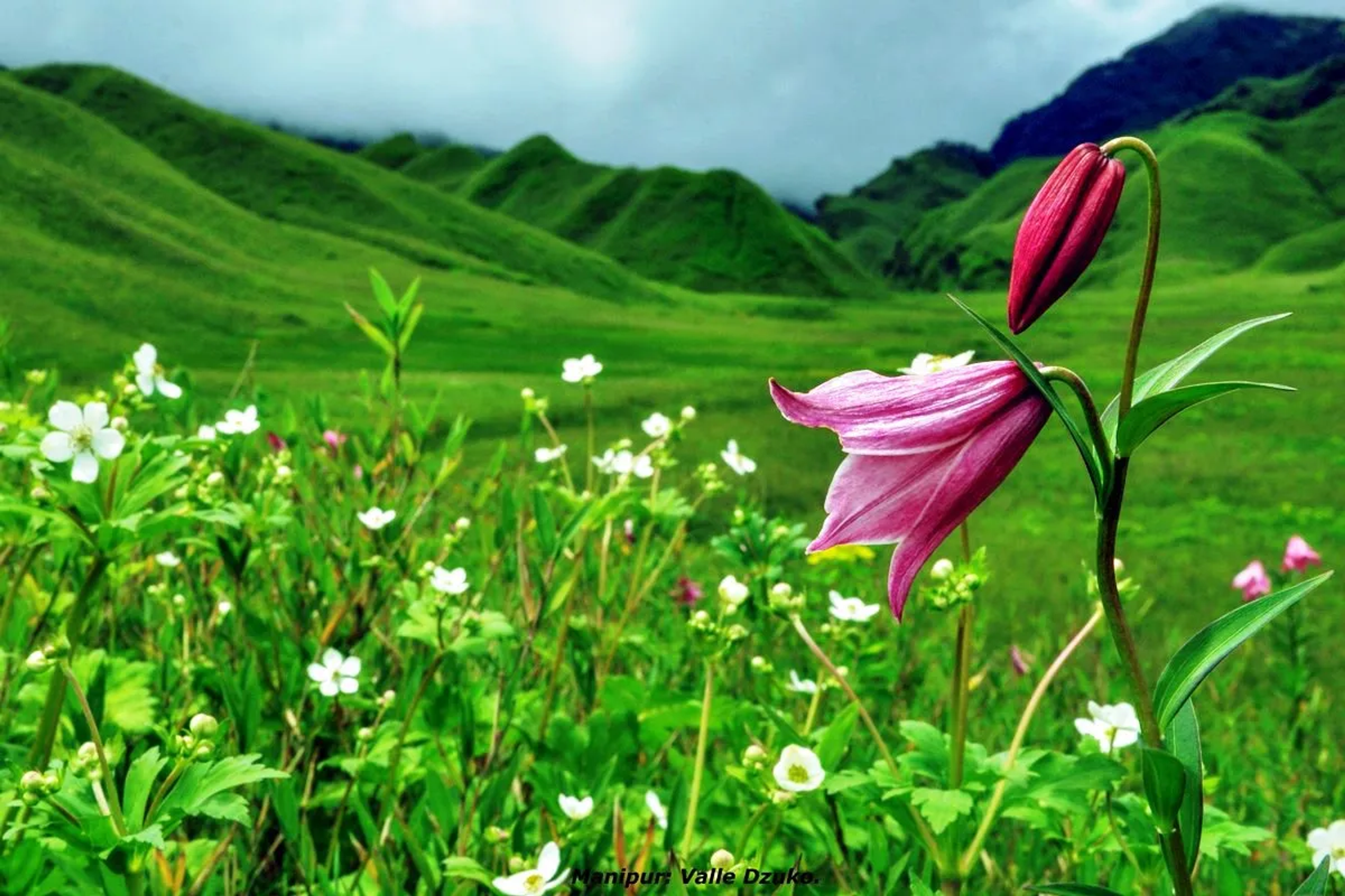 Ukhrul
