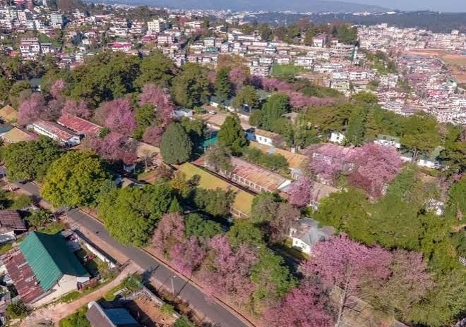 Open festival ground at Madan Kurkalang, Bhoirymbong, venue of the Shillong Cherry Blossom Festival