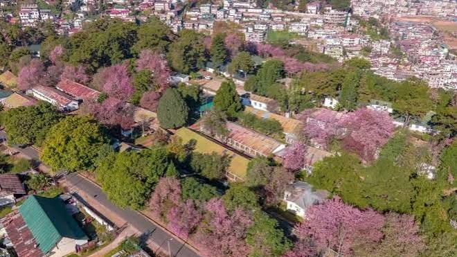 Open festival ground at Madan Kurkalang, Bhoirymbong, venue of the Shillong Cherry Blossom Festival