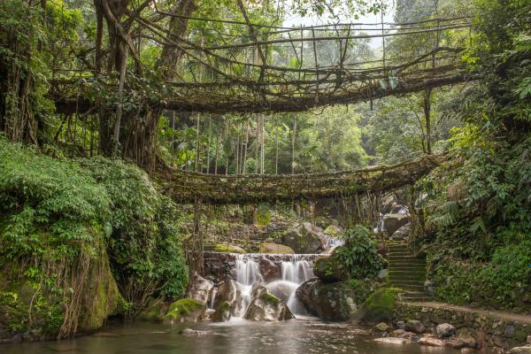 "Beautiful waterfalls flowing through cherrapunji  hills"