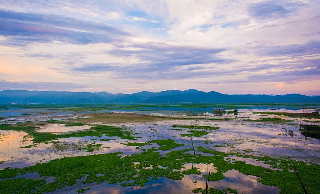 Deepor Beel birdwatching Guwahati Assam Ramsar wetland migratory birds.