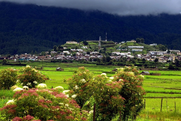 Ziro Valley