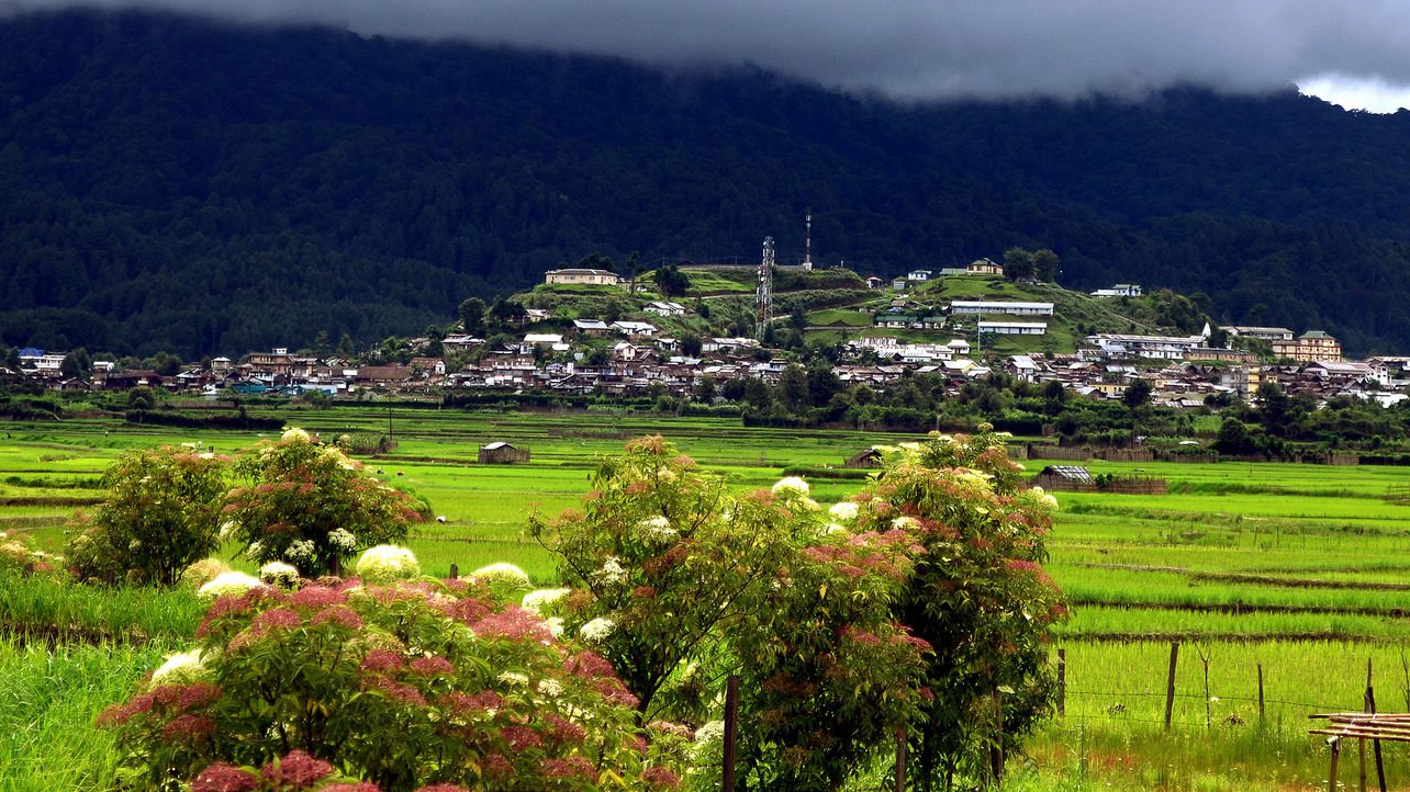 Terraced rice fields and traditional Apatani tribal houses in Ziro Valley, Arunachal Pradesh, surrounded by pine-covered hills in Northeast India