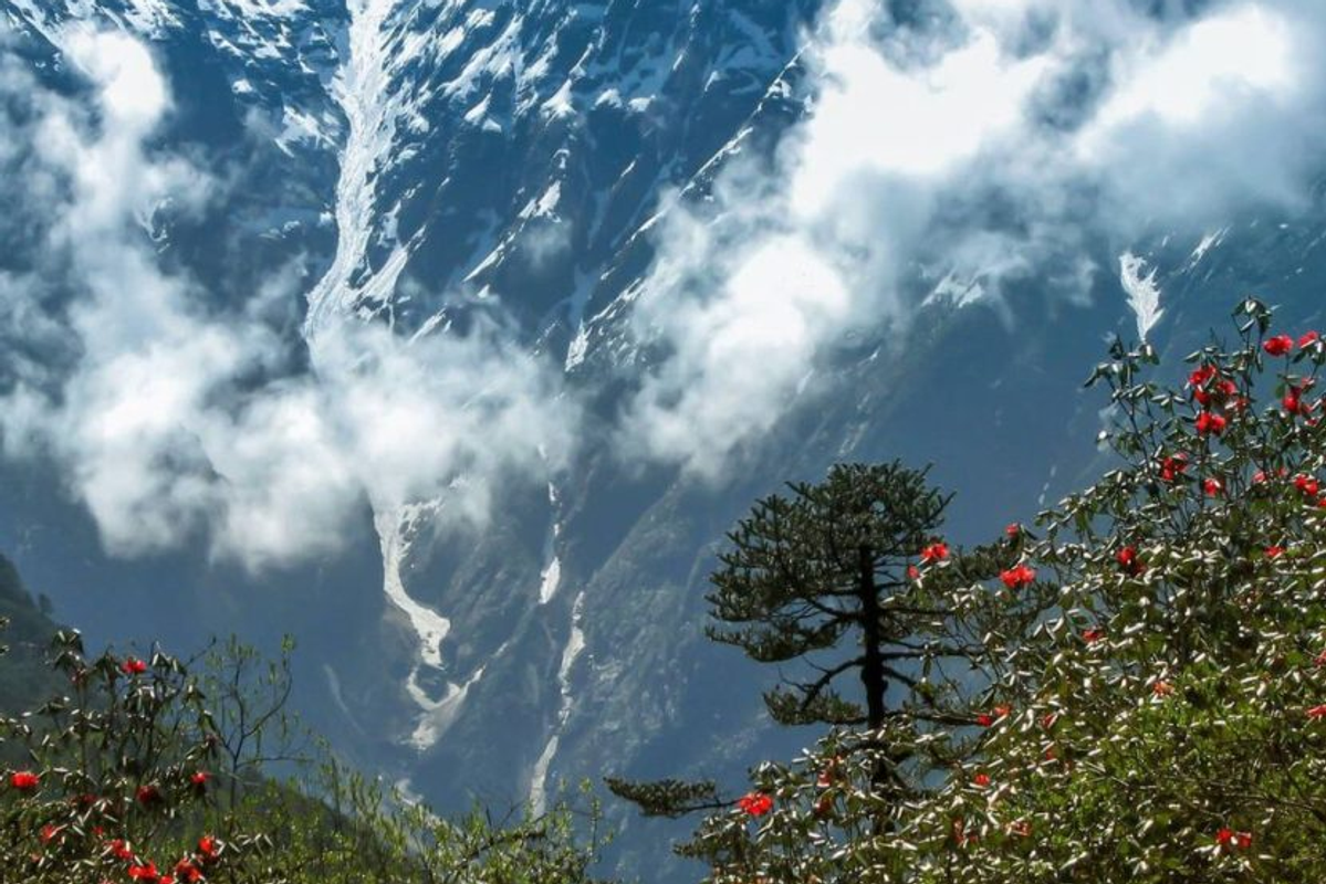 best time to visit sikkim,seasonal guide for your trip
